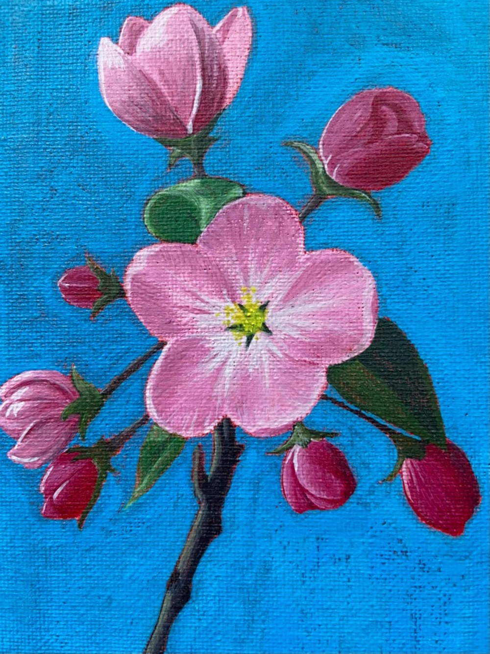 Floral Pink Blossom Canvas Art - Home Art